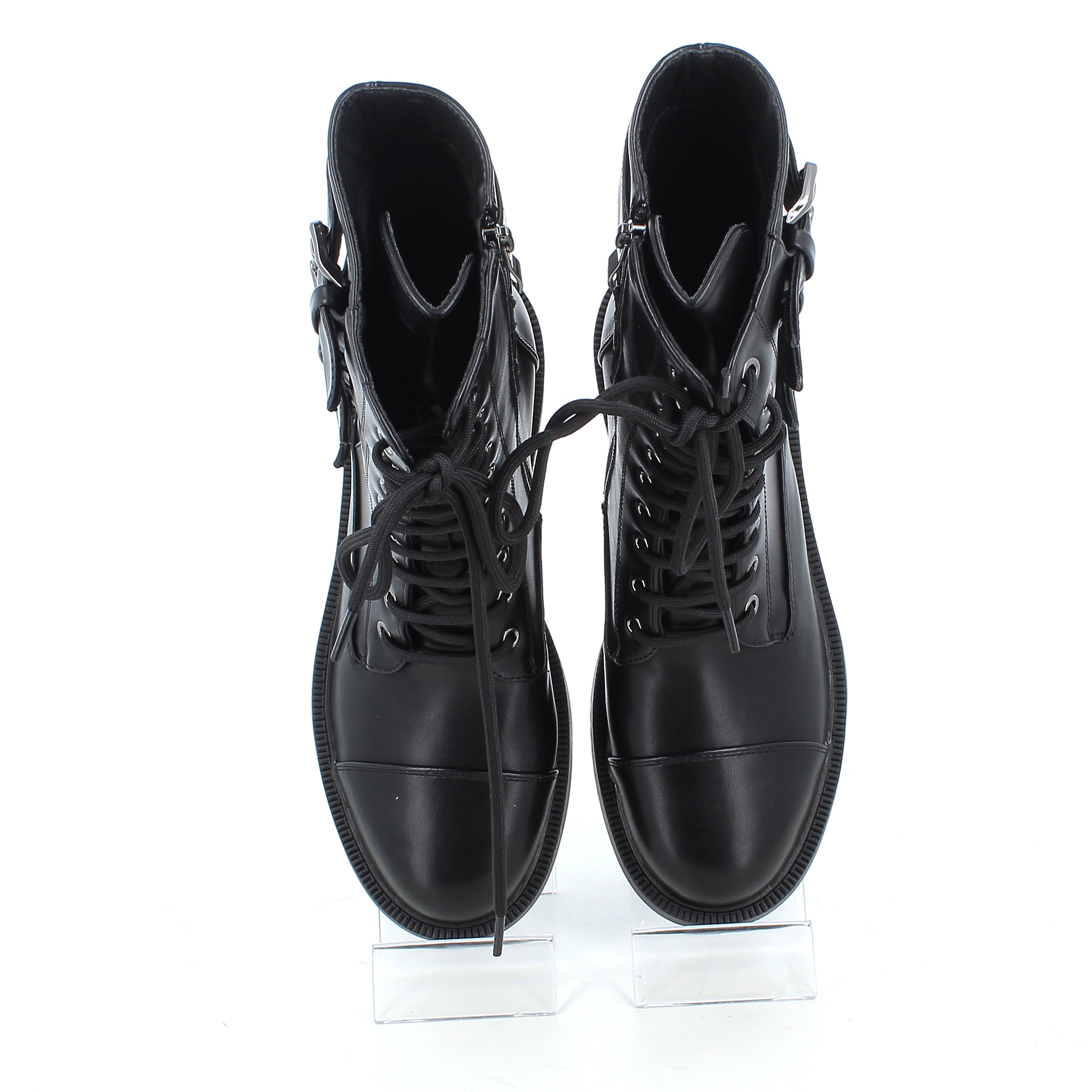 Hodea Anfibi Daniela