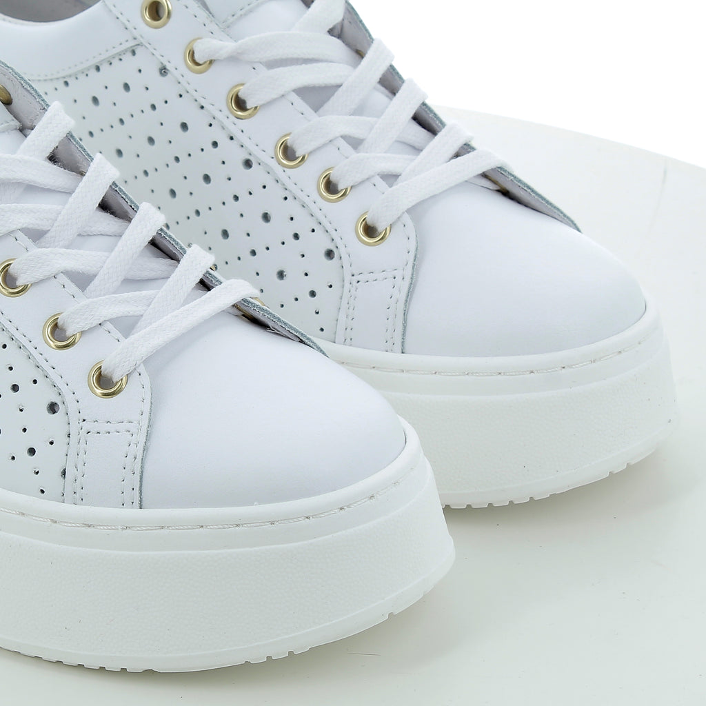 Buty damskie Hodea ERIKA01PSP25FORATO WHITE