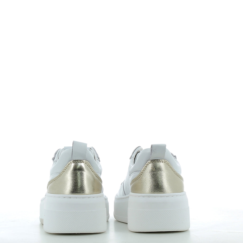 Hodea women's shoes SONIAPSP25 PLATINUM WHITE