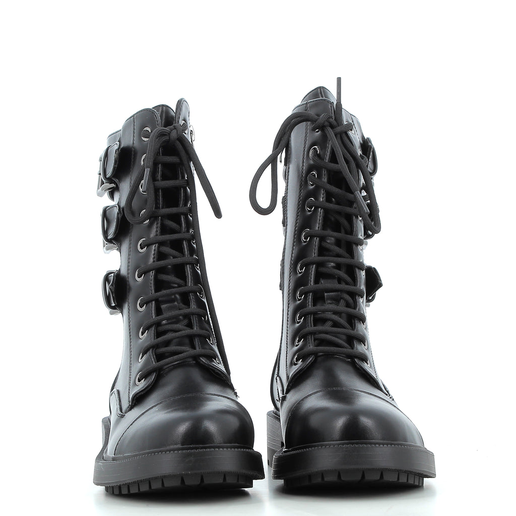 Hodea Anfibi Daniela