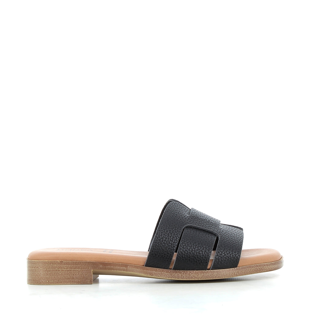 Hodea Elettra Black Slippers